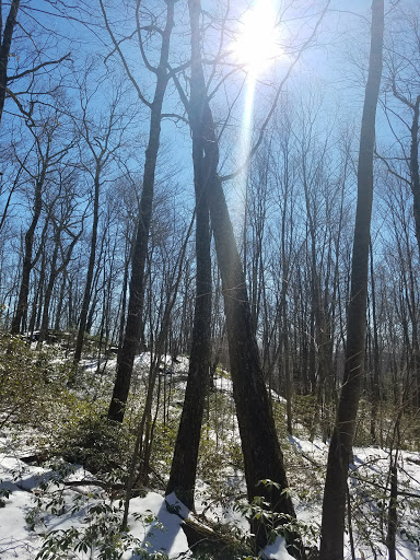 Nature Preserve «Macricostas Preserve», reviews and photos, 121 Christian St, New Preston, CT 06777, USA