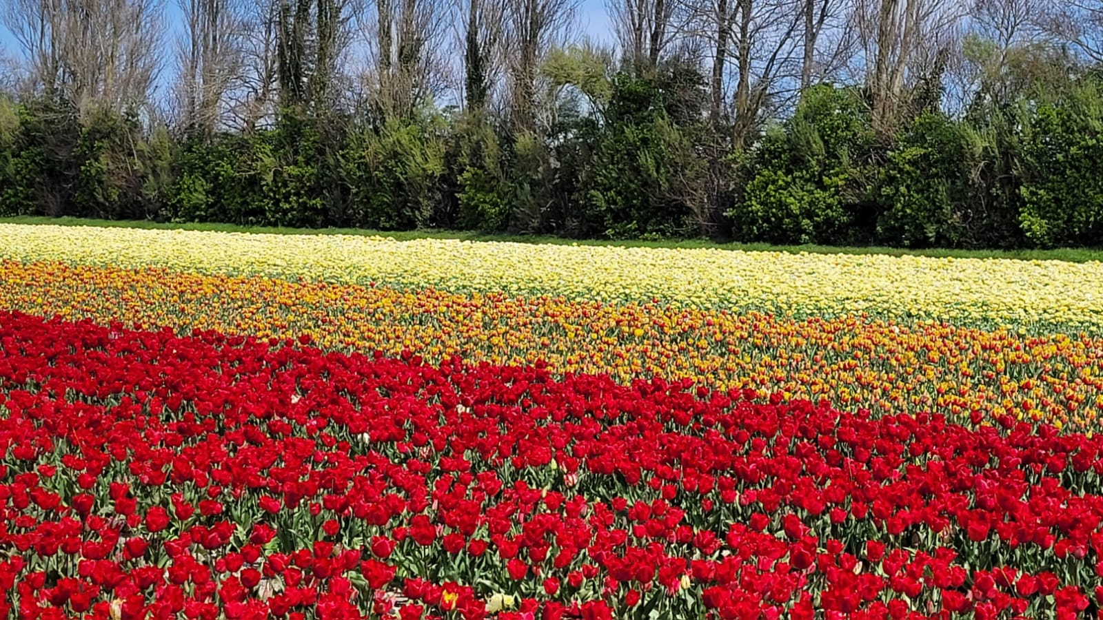 Photo n° 49 de l'avis de The.a fait le 05/04/2023 à 21:57