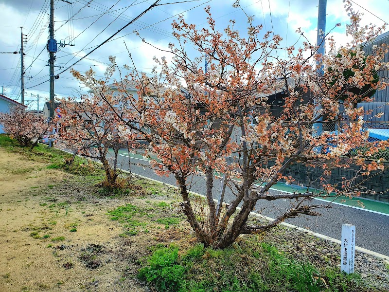 大村市ふれあい広場