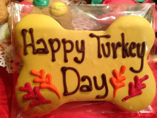 Pet Supply Store «Island Paws», reviews and photos, 630 Tarpon Bay Rd # 5, Sanibel, FL 33957, USA