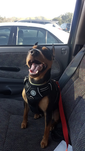 Pet Supply Store «PetSmart», reviews and photos, 573 N McKinley St, Corona, CA 92879, USA