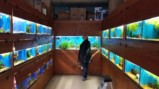 Pet Supply Store «Tropical World Pets», reviews and photos, 8444 Watson Rd, Webster Groves, MO 63119, USA