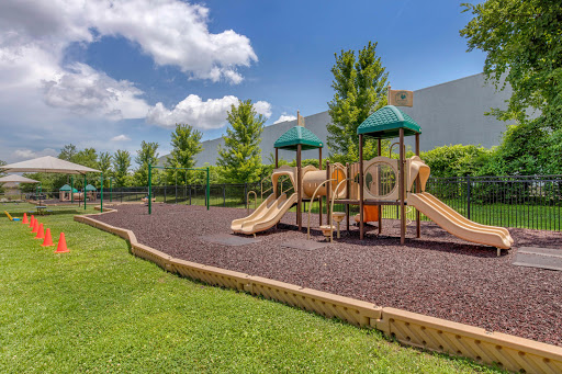 Preschool «Primrose School of Murfreesboro», reviews and photos, 554 Brandies Cir, Murfreesboro, TN 37128, USA