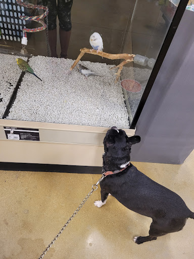 Pet Supply Store «PetSmart», reviews and photos, 1700 N Federal Hwy, Fort Lauderdale, FL 33305, USA