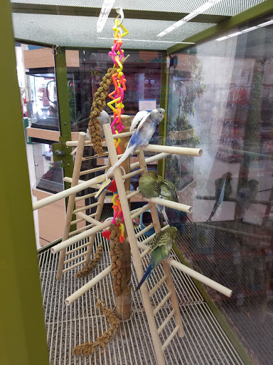 Pet Supply Store «Petco Animal Supplies», reviews and photos, 13127 N Dale Mabry Hwy, Tampa, FL 33618, USA