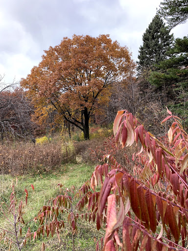 Park «Quaking Bog», reviews and photos, Theodore Wirth Pkwy, Minneapolis, MN 55411, USA