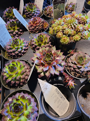 Plant Nursery «Goldner Walsh Garden and Home», reviews and photos, 559 Orchard Lake Rd, Pontiac, MI 48341, USA