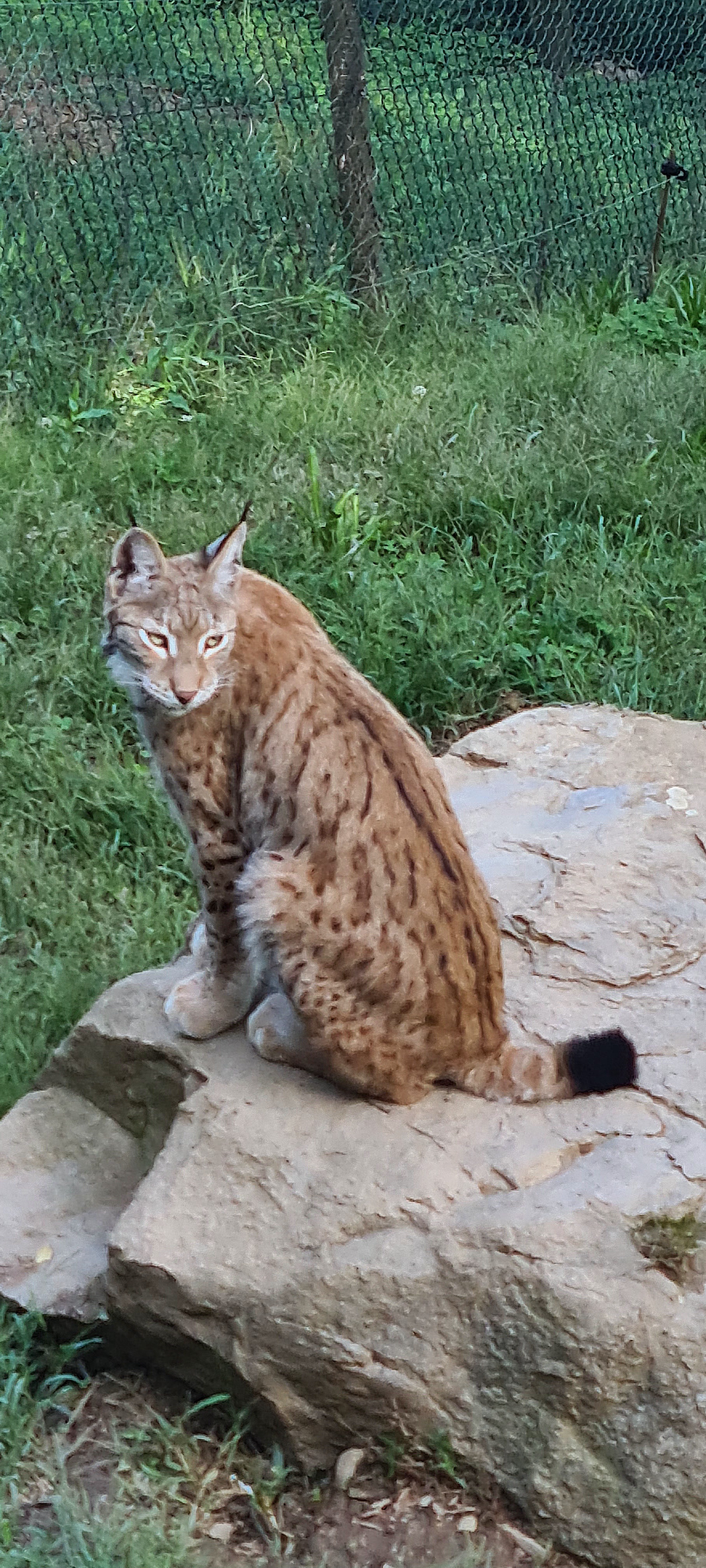 Photo n° 6 de l'avis de Jacky.r fait le 18/09/2022 à 05:13