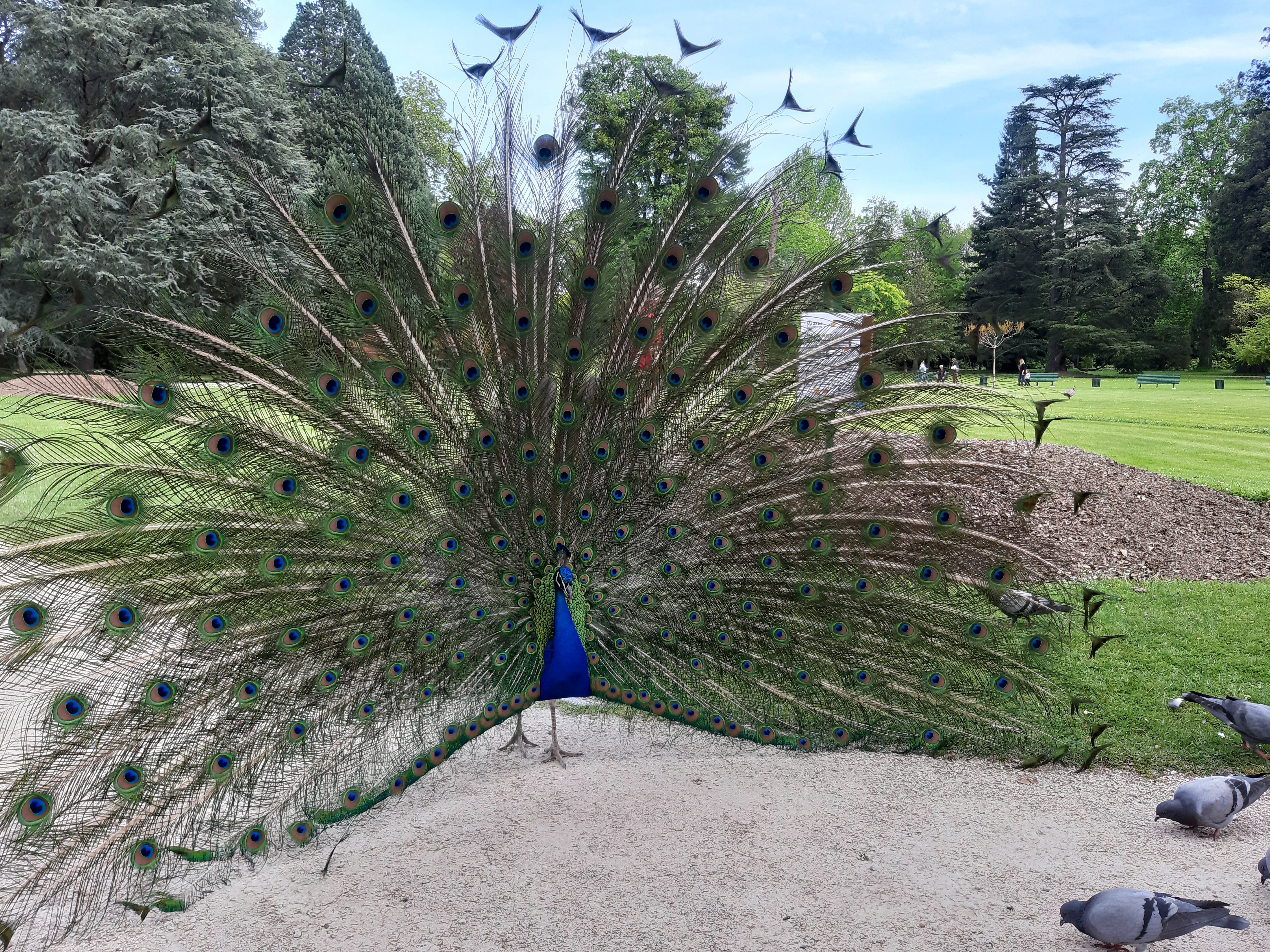 Photo n° 6 de l'avis de Alexandre.o fait le 30/04/2018 à 13:37