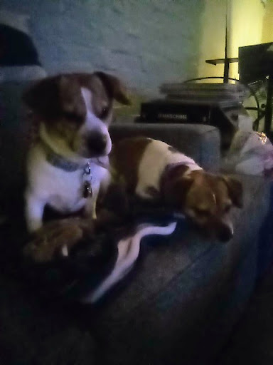 Cares Campus shelter