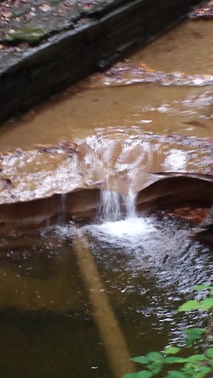 Buttermilk Falls State Park - photo 48