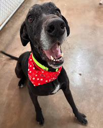 EPK9 Stay and Play - Photo 3 - Car repair in El Paso, TX, El Paso