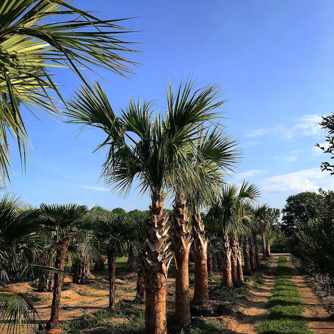 Coastal Landscapes and Nursery