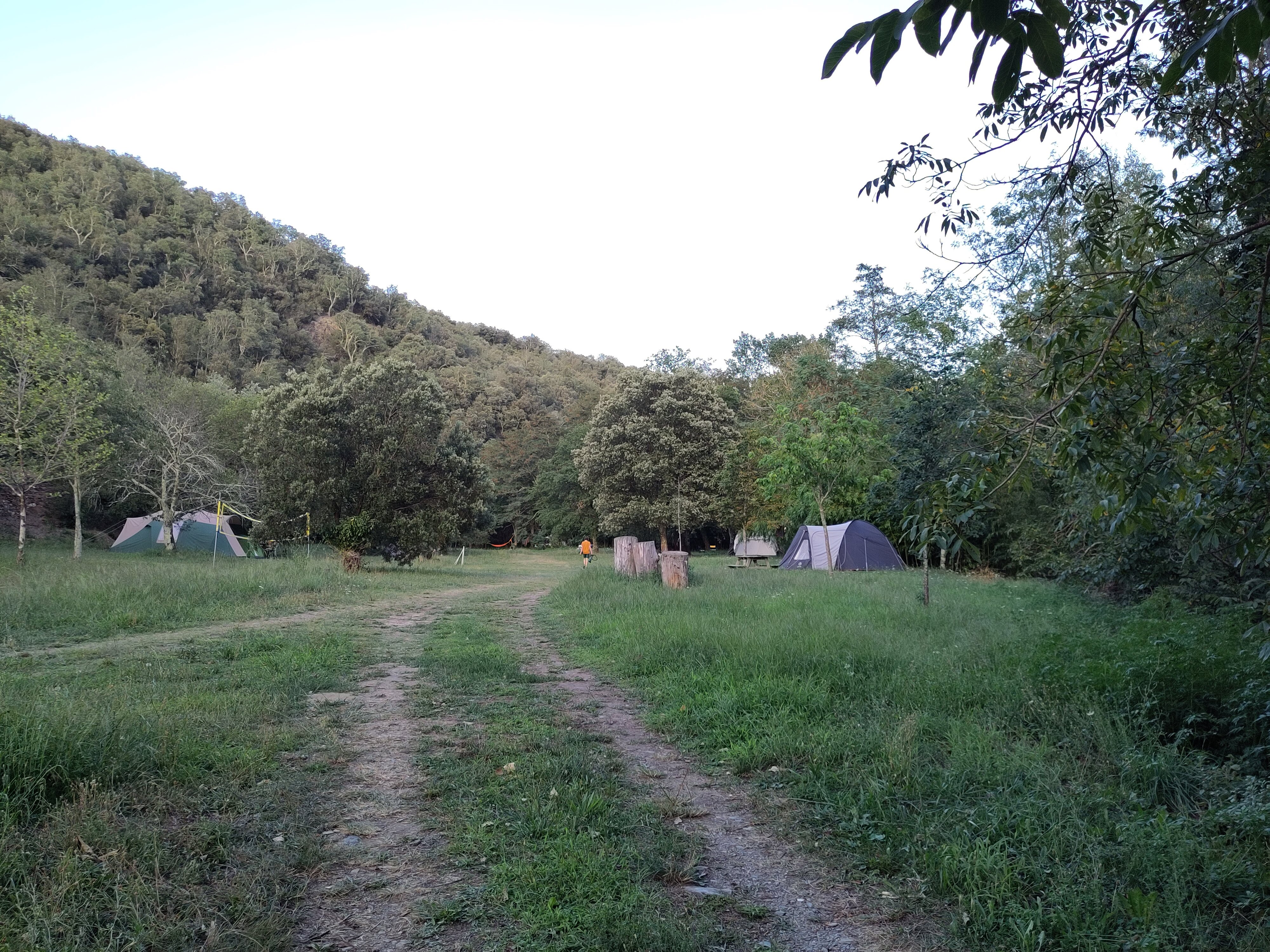 Photo n° 4 de l'avis de Johannes.a fait le 19/08/2023 à 20:48