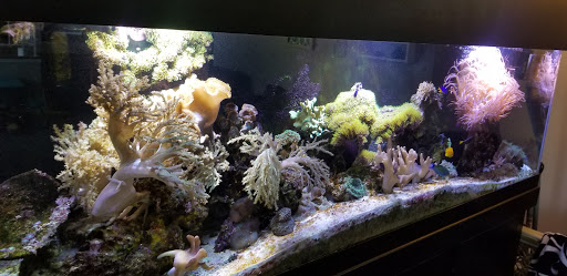 Pet Supply Store «Petco Animal Supplies», reviews and photos, 17132 W Colfax Ave, Golden, CO 80401, USA