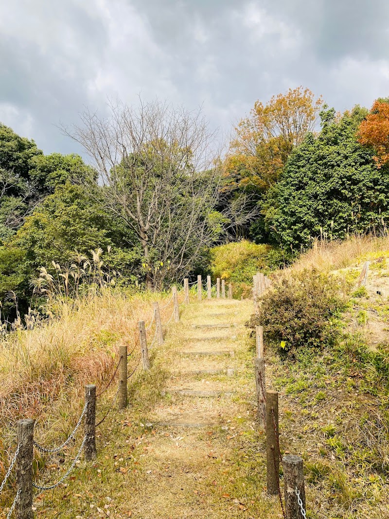 大神宮山