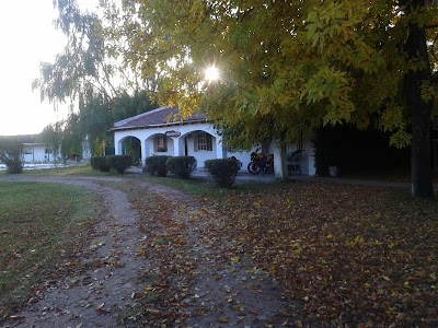 lodging
