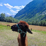 Photo n°3 de l'avis de Federica.a fait le 16/07/2023 à 06:04 sur le  Hotel la Grange à Entrèves, Courmayeur