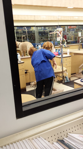 Pet Supply Store «PetSmart», reviews and photos, 1520 Pleasant Valley Rd, Manchester, CT 06042, USA