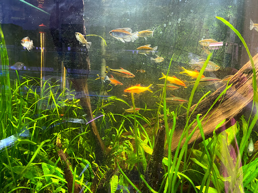 Clear Water Aquarium