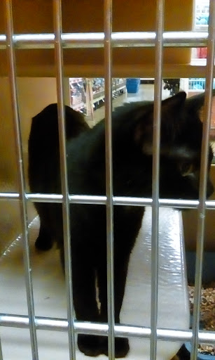 Pet Supply Store «PetSmart», reviews and photos, 479 River Hill Dr, Ashland, KY 41101, USA