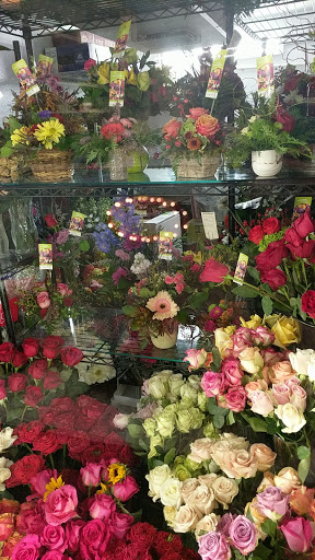 Florist «Hummingbird Floral & Gifts», reviews and photos, 4001 Rice St, Shoreview, MN 55126, USA