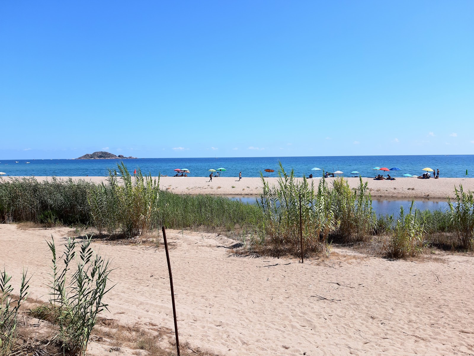 Spiaggia di Isula Manna的照片 位于自然区域