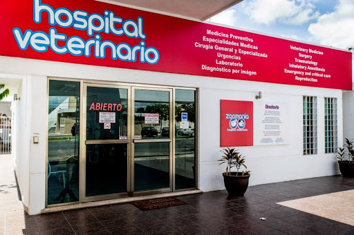Centro Veterinario Zoomania