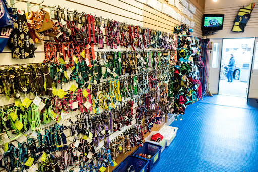 Pet Store «Paw Prints-Stone Harbor LLC», reviews and photos, 281 96th St, Stone Harbor, NJ 08247, USA