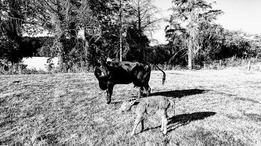 Carlow Concrete Tanks