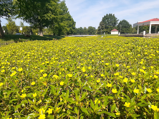 Dog Park «MacArthur Dog Park», reviews and photos, 601 E 9th St, Little Rock, AR 72202, USA