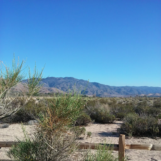 Mojave Interpretive walk