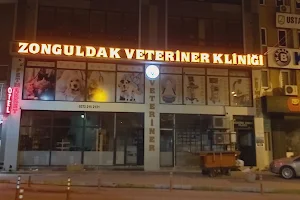Zonguldak Veterinary Clinic image