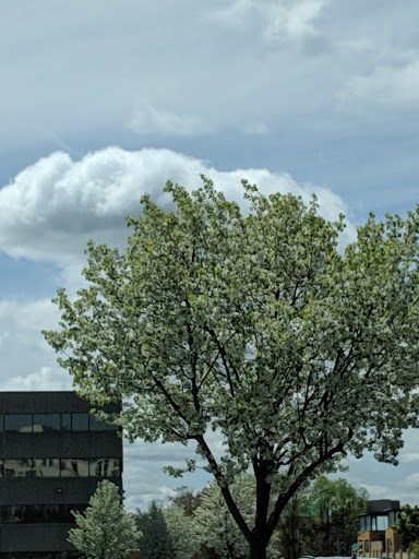 Shopping Mall «R.K. Centre», reviews and photos, 201 Boston Post Rd W, Marlborough, MA 01752, USA