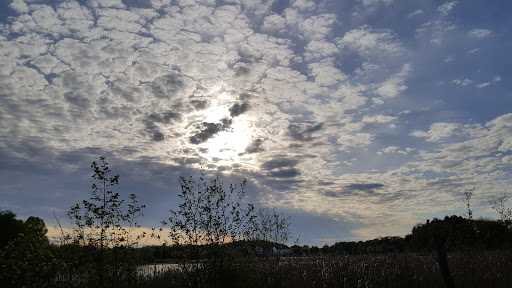 Nature Preserve «Jackson Bog State Nature Preserve», reviews and photos, 7984 Fulton Dr NW, Massillon, OH 44646, USA