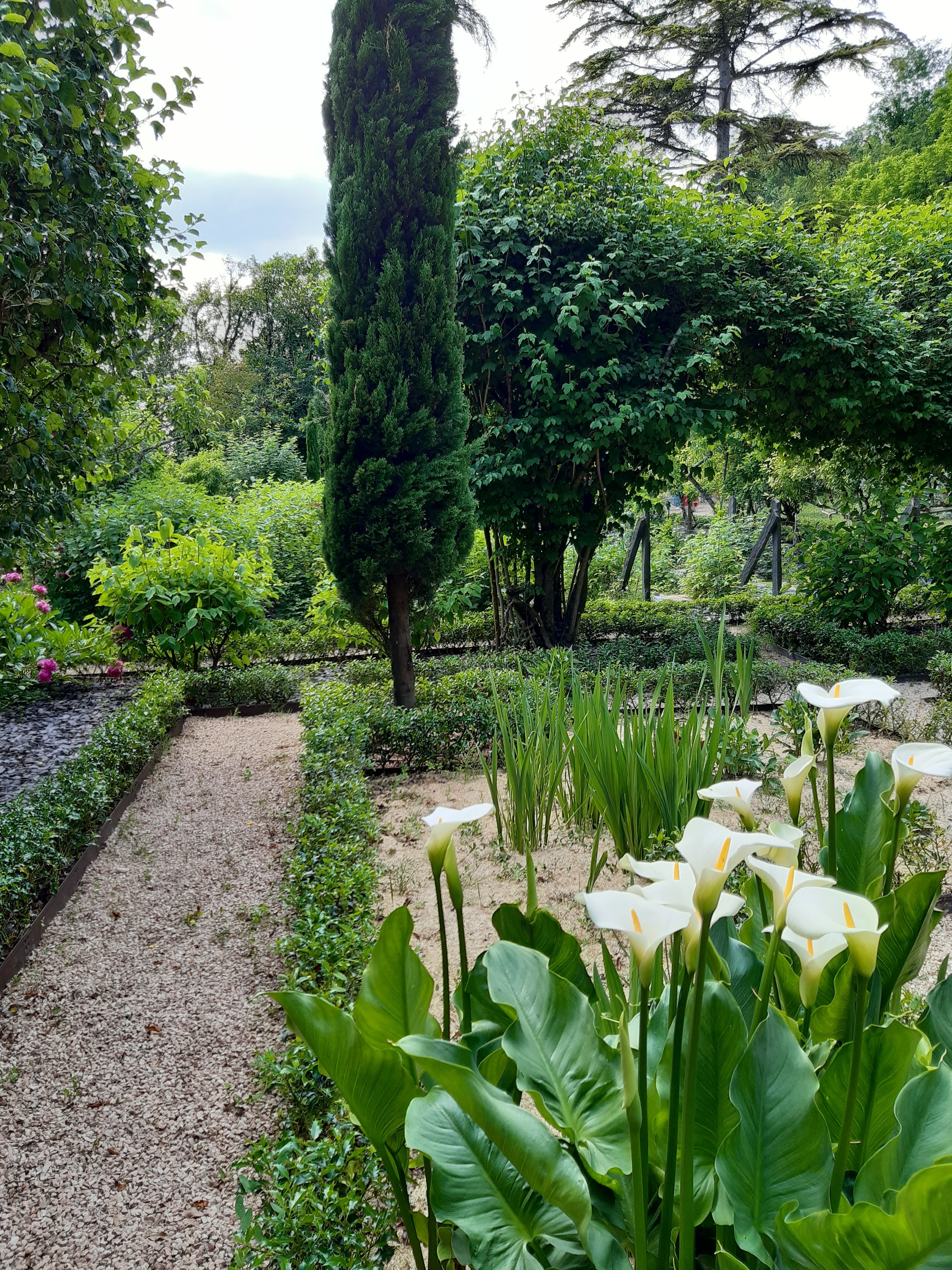 Photo n° 24 de l'avis de Patrice.a fait le 13/06/2021 à 16:03