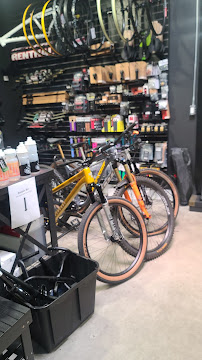 Hood Wrench Cycles - Photo 4 - Car repair in Aurora, CO, Denver