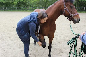 Luisa Paschke - Ganzheitliche Pferdetherapie image