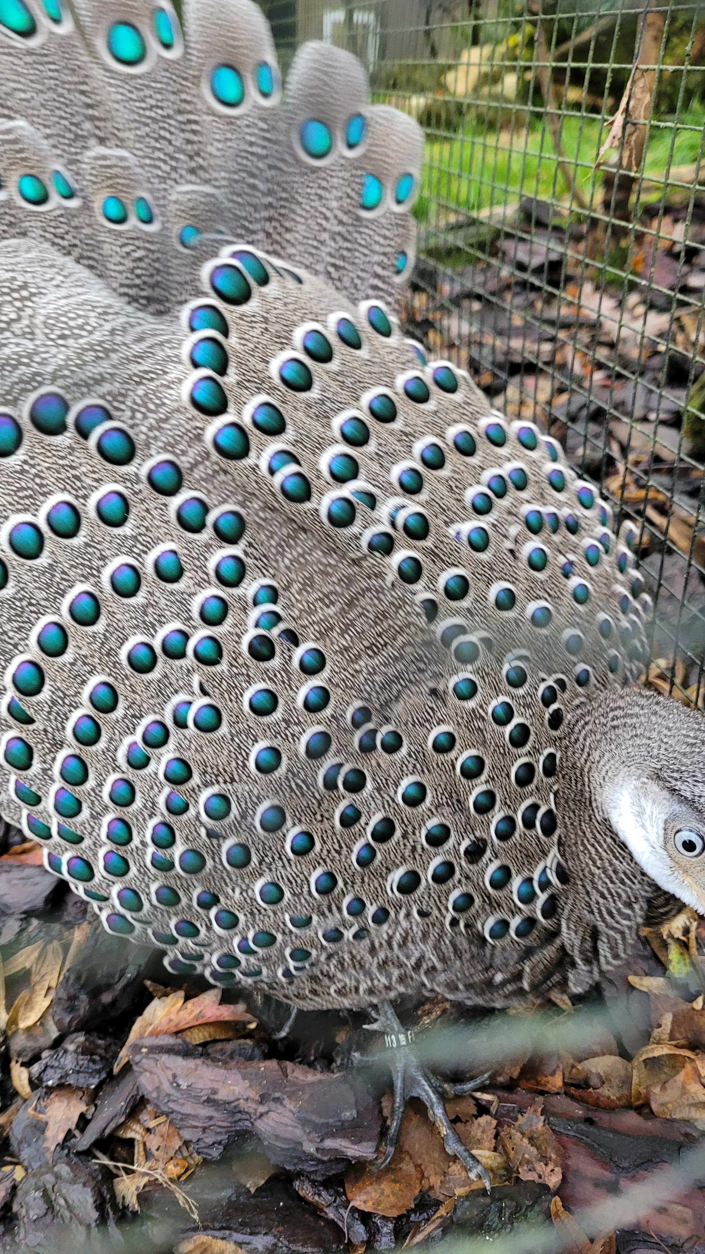 Photo n° 6 de l'avis de Sophie.a fait le 22/11/2023 à 15:36