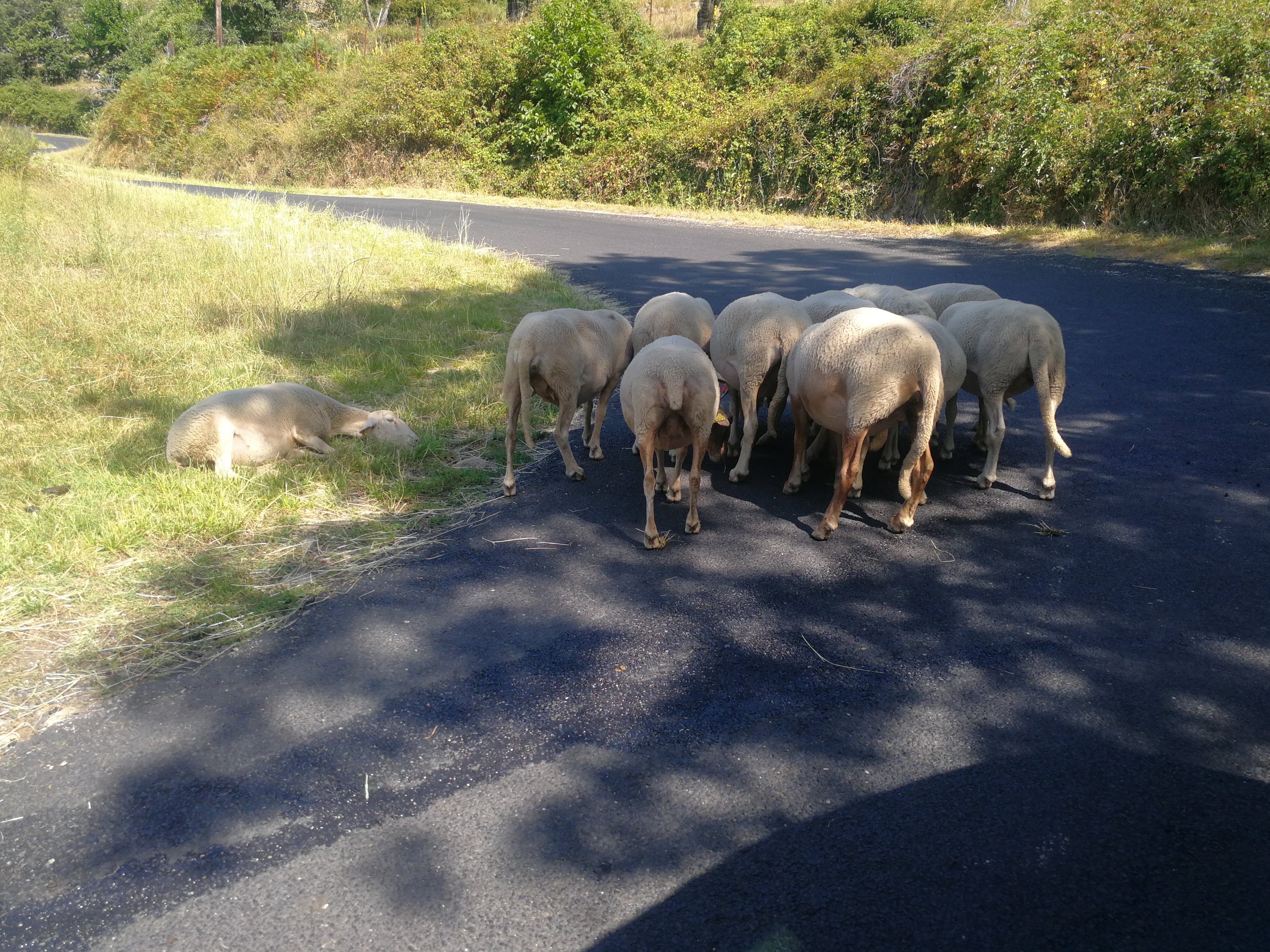 Photo n° 3 de l'avis de Anne.E fait le 31/07/2023 à 22:04