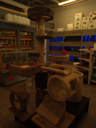 Pet Store «Bird Dog & Catfish», reviews and photos, 115 Old Boerne Rd, Bulverde, TX 78163, USA