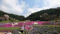 大道理鹿野地地区の棚田