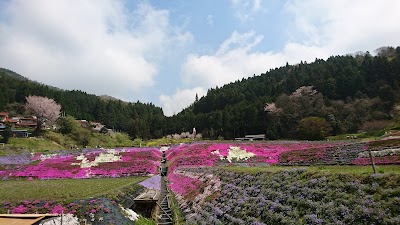 大道理鹿野地地区の棚田