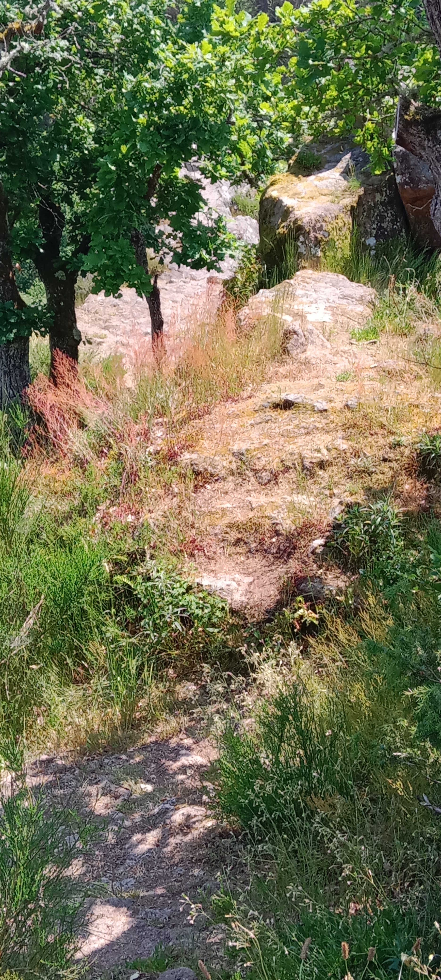 Photo n° 4 de l'avis de Sébastien.h fait le 28/05/2023 à 18:59