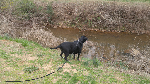 Park «Cleveland Park», reviews and photos, Cleveland Park Drive & East Washington, Greenville, SC 29601, USA