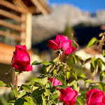 Photo n°7 de l'avis de Susi.a fait le 29/10/2021 à 20:20 sur le  Cyprianerhof Dolomit Resort à Tiers