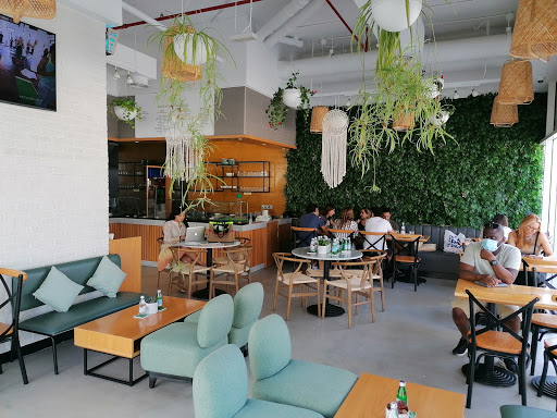 Soul Sante Cafe | Best Vegan Cafe In Dubai