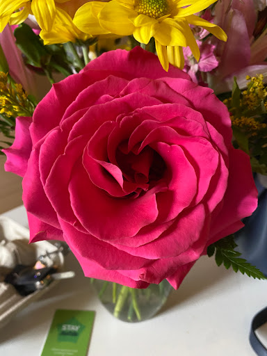 Florist «Farmington Center Florist», reviews and photos, 23340 Farmington Rd, Farmington, MI 48336, USA