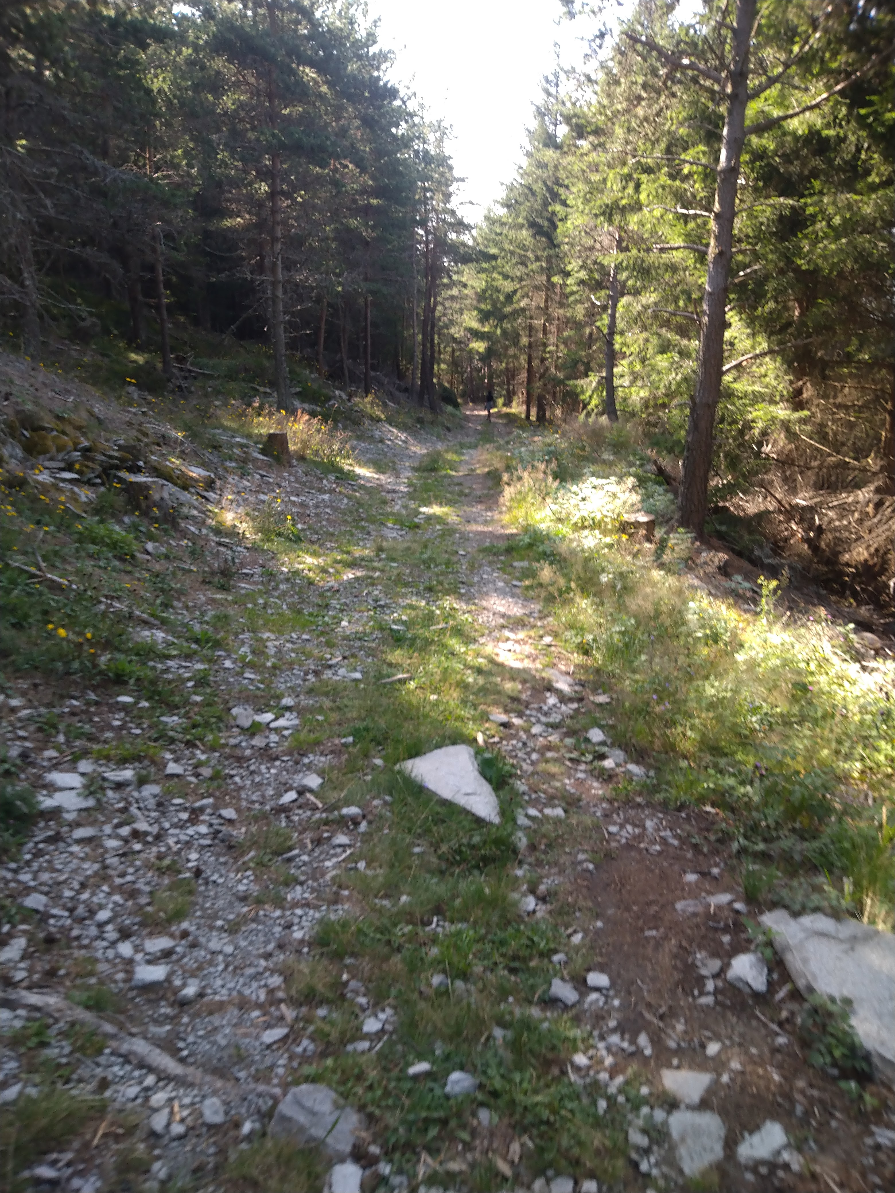 Photo n° 9 de l'avis de Ju.a fait le 14/08/2021 à 15:08