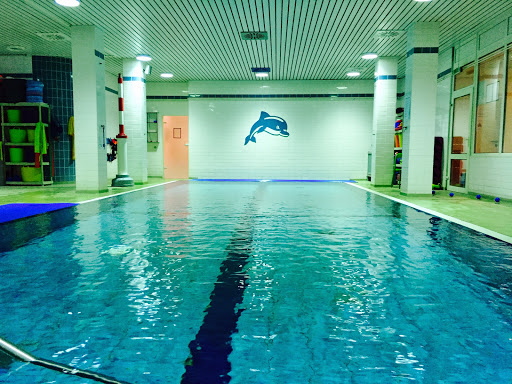 Schwimmschule Delphin Alstertal